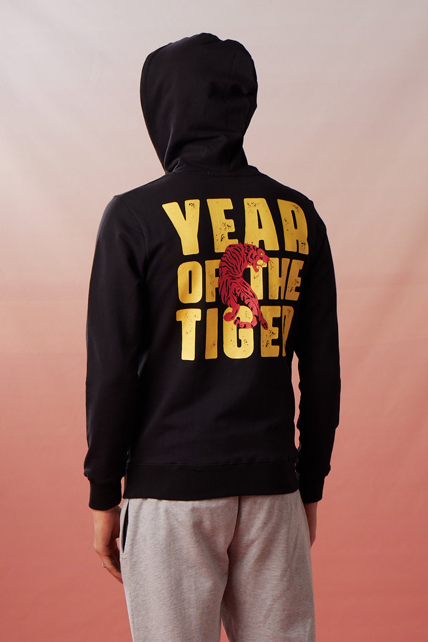 Year of The Tiger